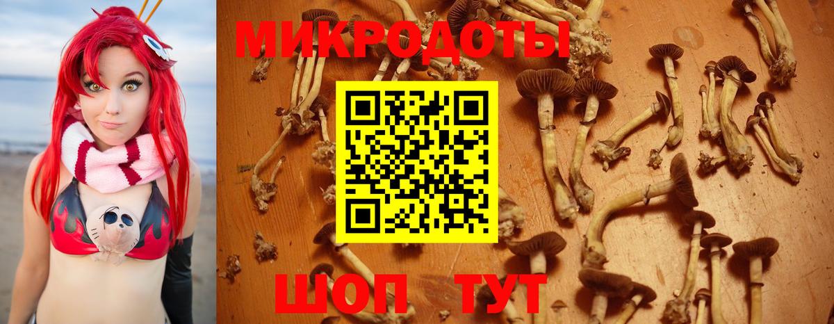 Галлюциногенные грибы мицелий Ростов Великий