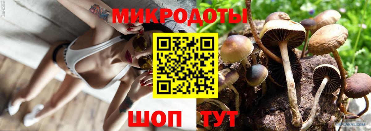 Ростов Великий  Галлюциногенные грибы Psilocybe  Вход с VPN 